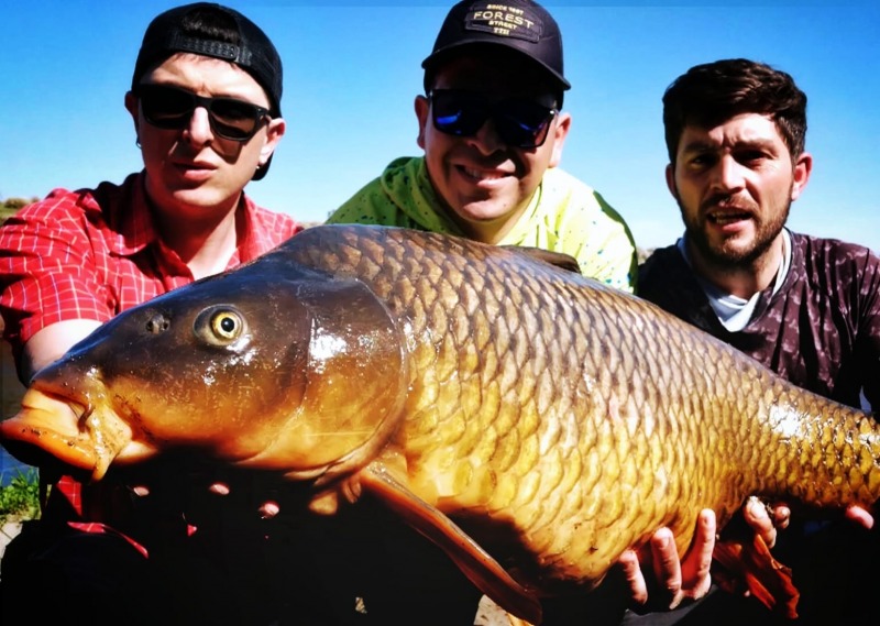 Carpfishing: una pesca que va ms all de la cantidad